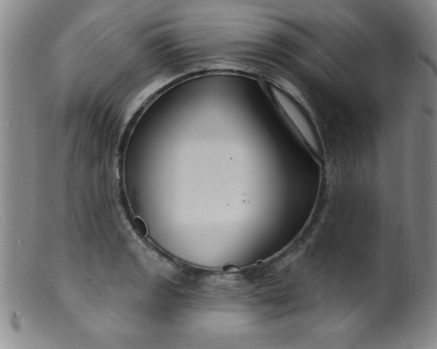 X0000099481133200805231849