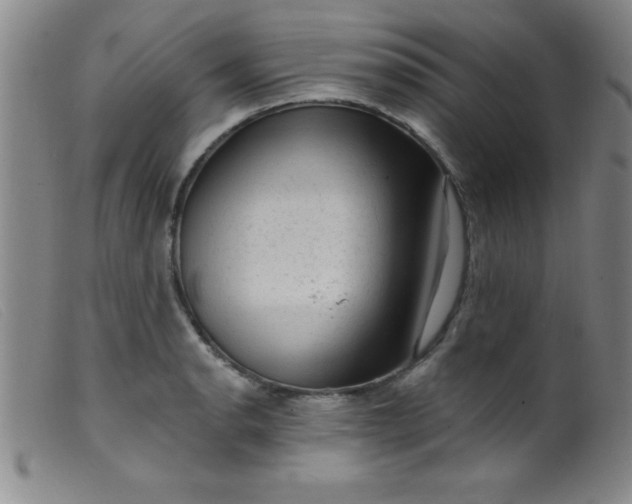 X0000099481134200805231849