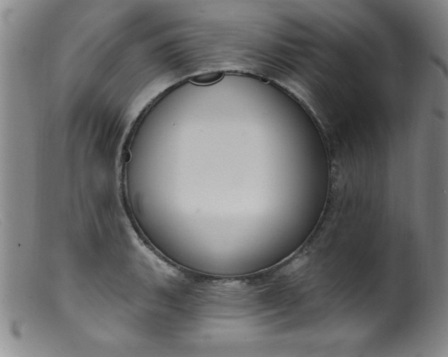X0000099481135200805231849