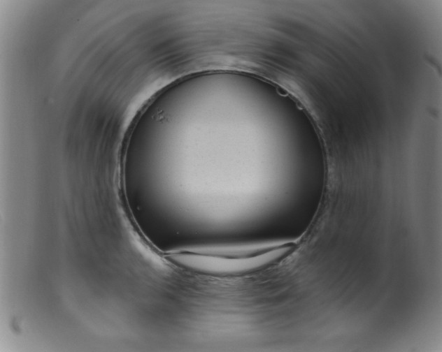 X0000099481136200805231849
