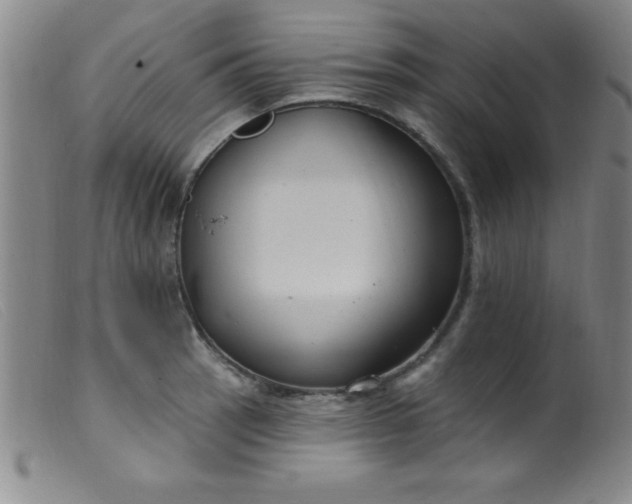 X0000099481137200805231849