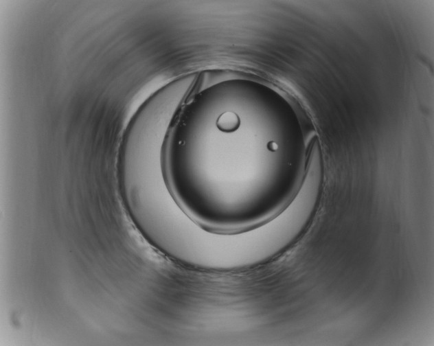 X0000099481138200805231849
