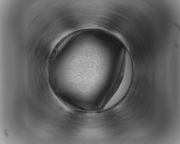 X0000099481142200805231849
