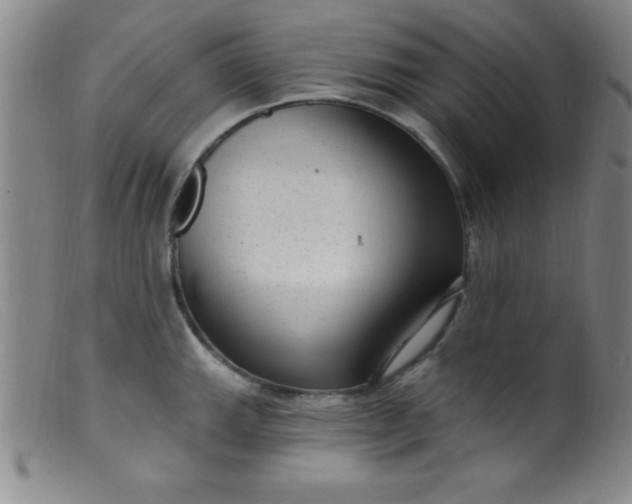 X0000099481143200805231849