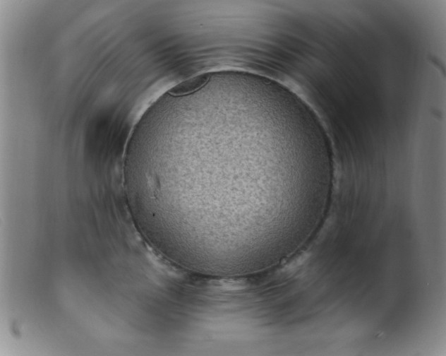 X0000099481145200805231849