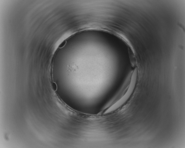X0000099481146200805231849