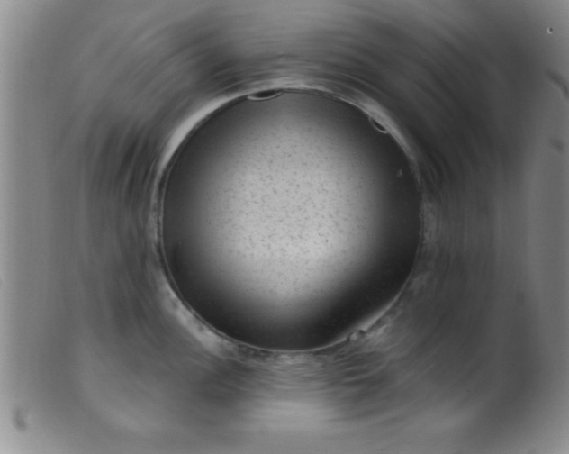 X0000099481148200805231849