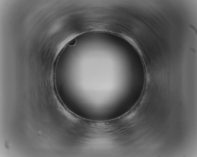 X0000099481149200805231849