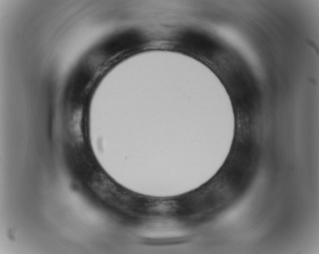 X0000099481150200805231849