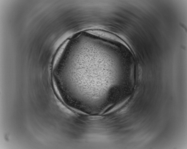 X0000099481151200805231849