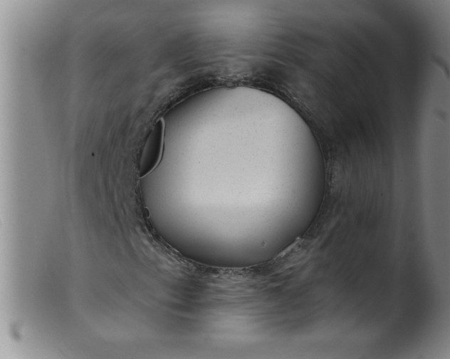 X0000099481153200805231848