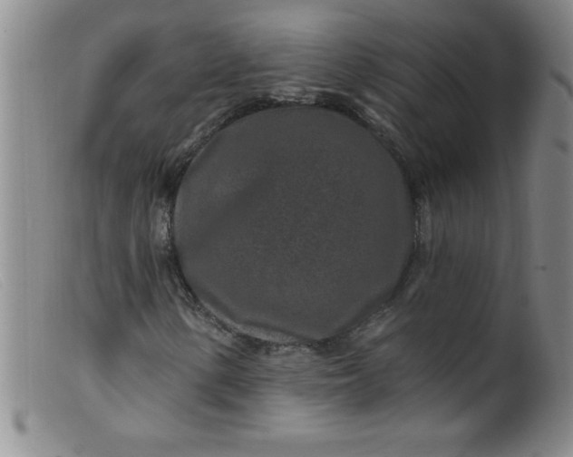 X0000099481154200805231848