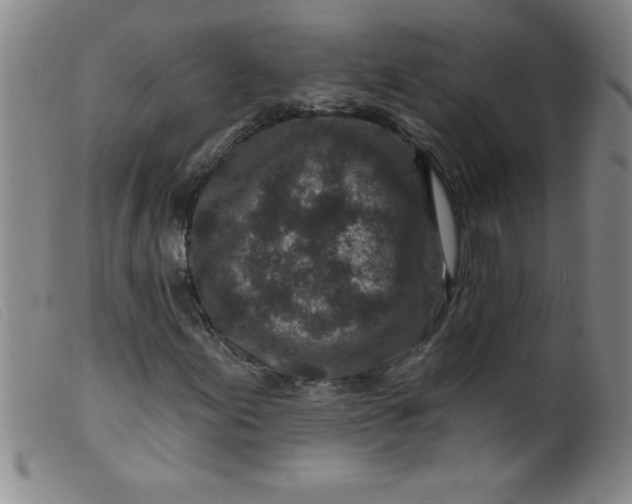 X0000099481155200805231848