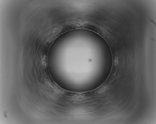 X0000099481156200805231848