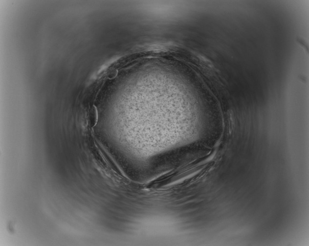 X0000099481158200805231848