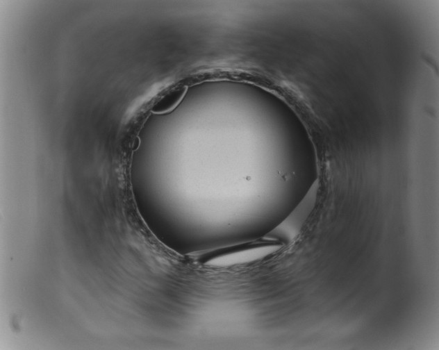 X0000099481159200805231848
