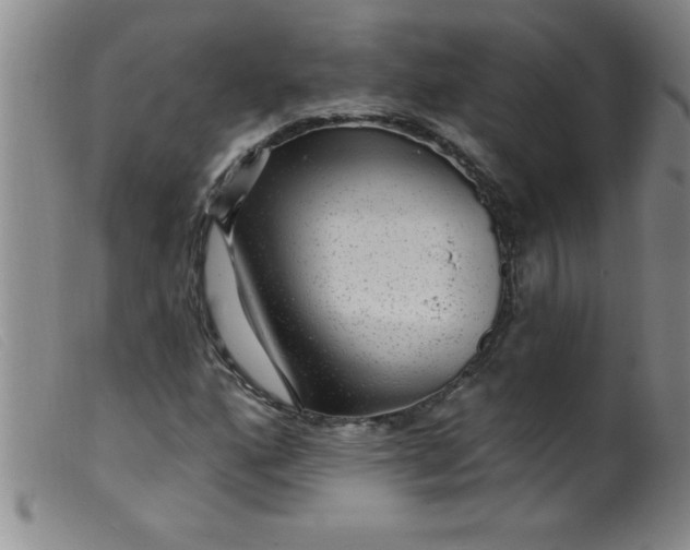 X0000099481160200805231848