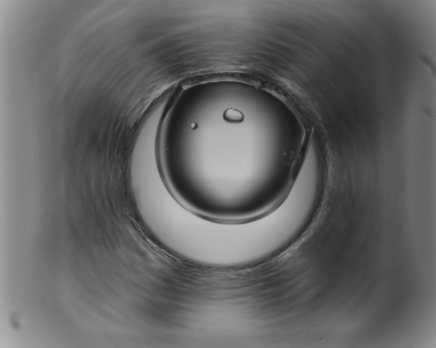 X0000099481161200805231848