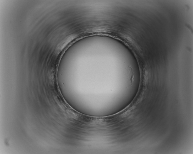 X0000099481162200805231848