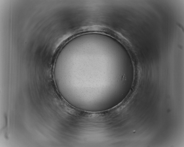 X0000099481166200805231848