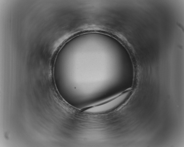 X0000099481167200805231848
