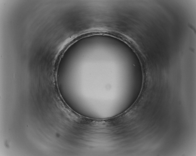 X0000099481168200805231848