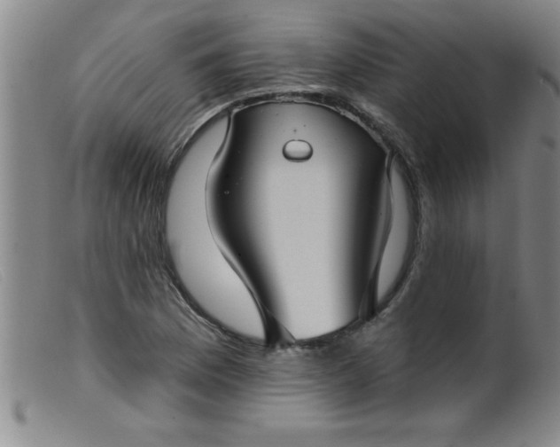 X0000099481169200805231848