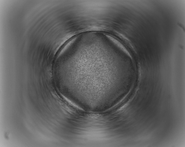 X0000099481170200805231848