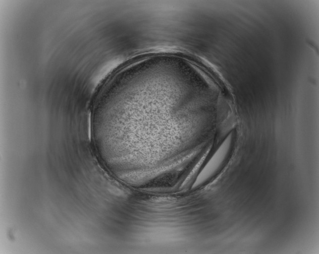 X0000099481171200805231848