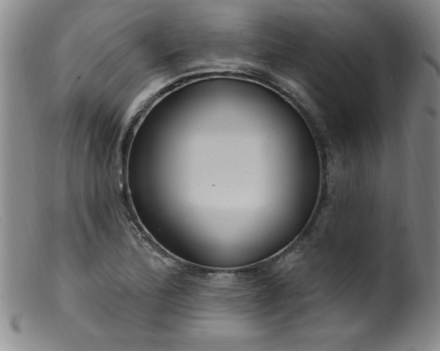 X0000099481172200805231848