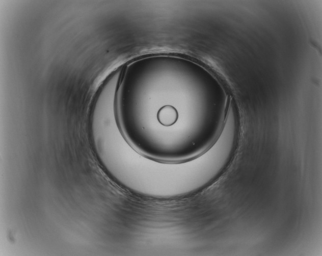 X0000099481173200805231848