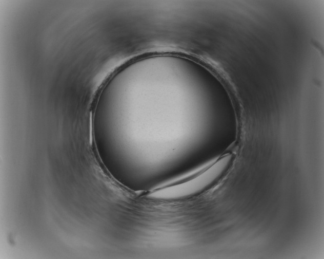 X0000099481175200805231848