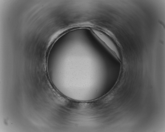 X0000099481176200805231848