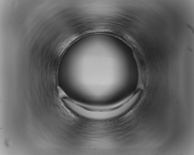 X0000099481177200805231848