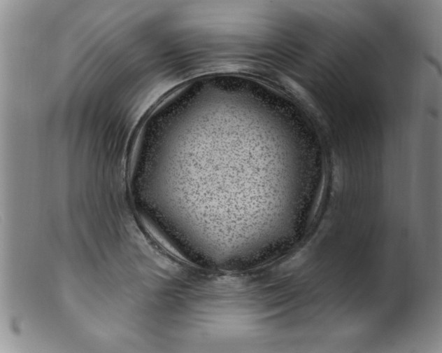 X0000099481178200805231848