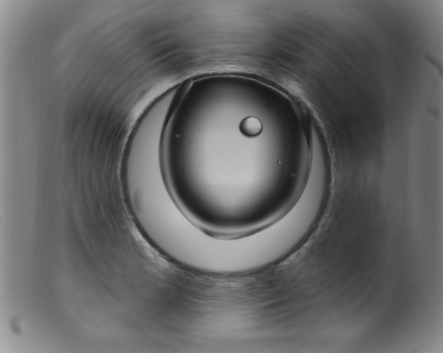 X0000099481181200805231848