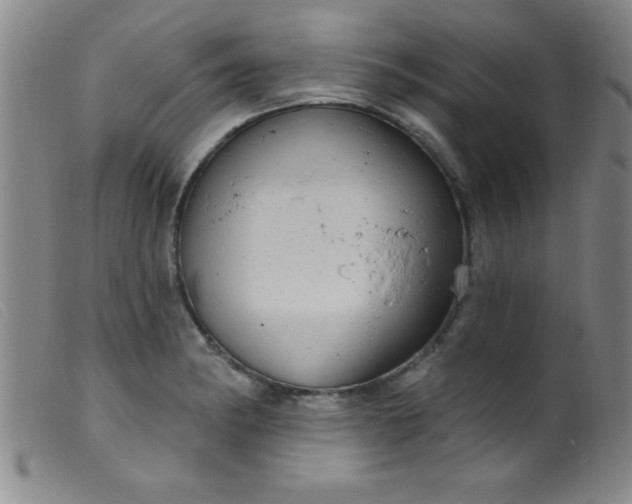 X0000099481182200805231848