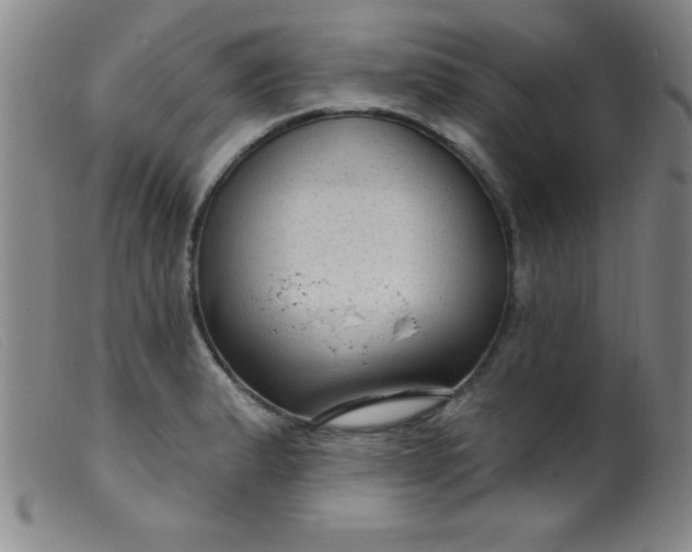 X0000099481183200805231848