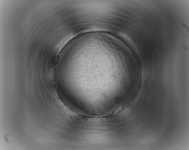 X0000099481185200805231848