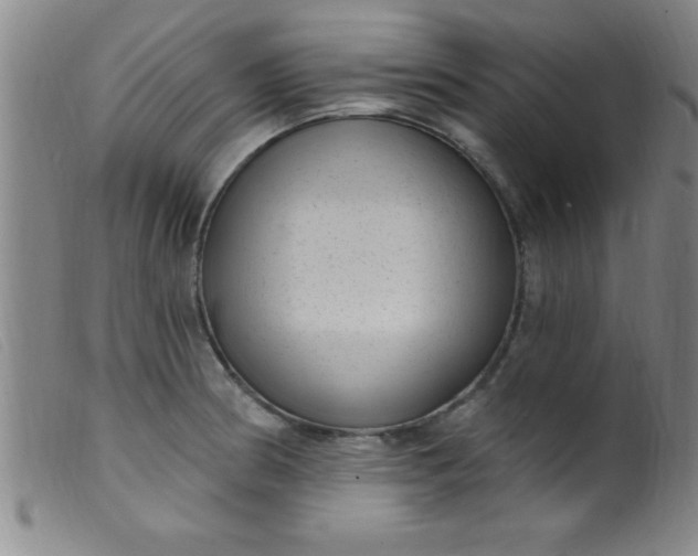 X0000099481186200805231848