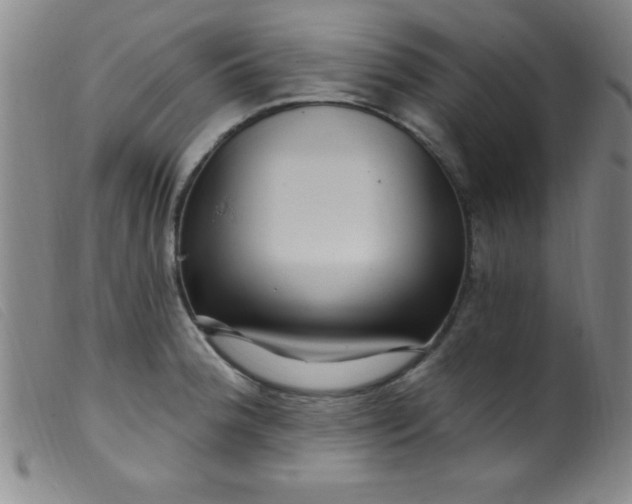 X0000099481188200805231848