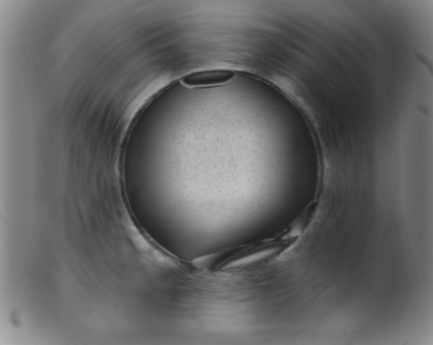 X0000099481189200805231848