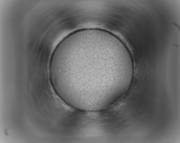 X0000099481191200805231848