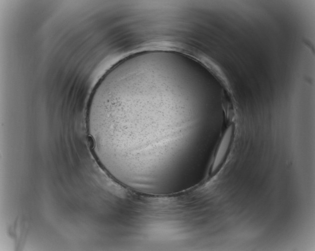 X0000099481192200805231848