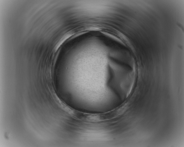 X0000099481194200805231848