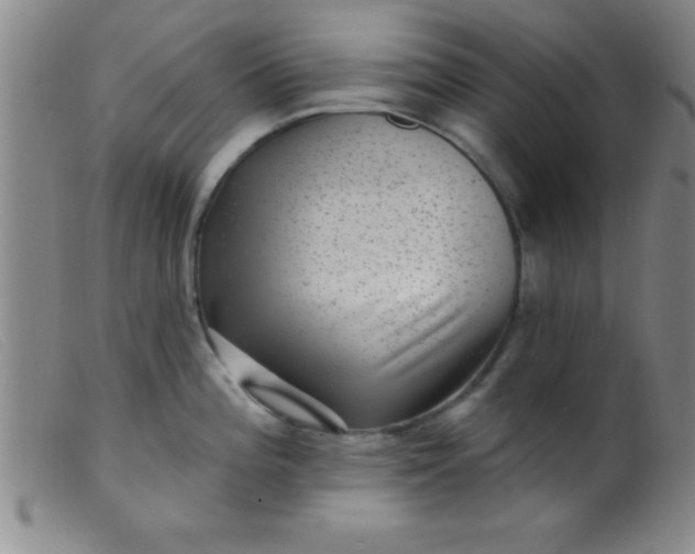 X0000099481196200805231848