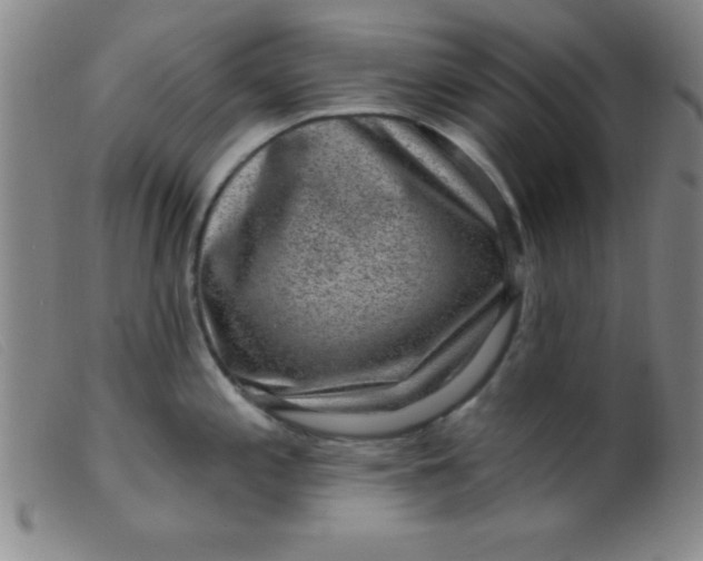 X0000099481197200805231848