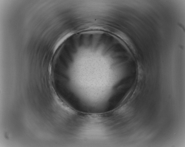 X0000099481198200805231848
