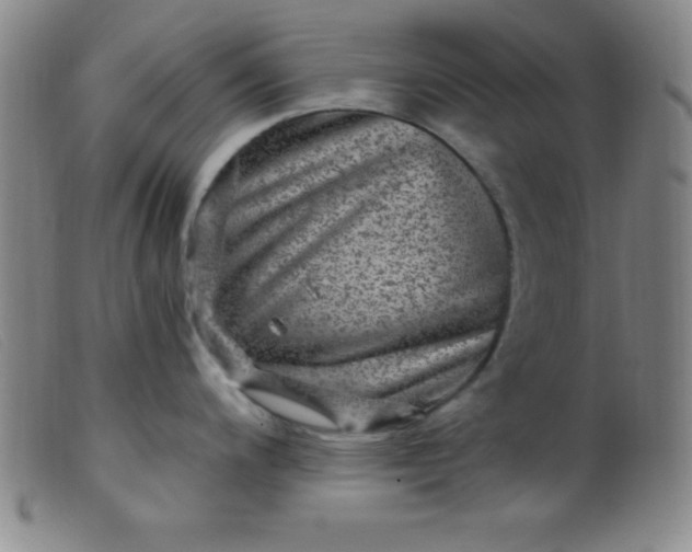 X0000099481200200805231847