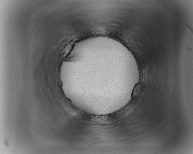 X0000099481201200805231847